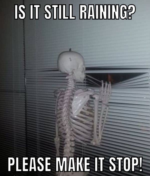 Is-It-Raining-Meme-on-Skeleton